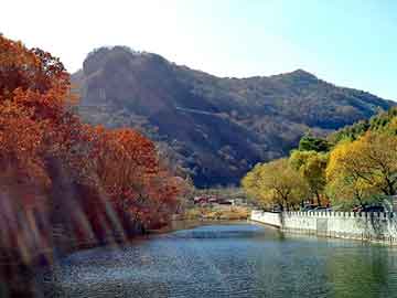 澳门二四六天天免费好材料，花生油榨油机多少钱